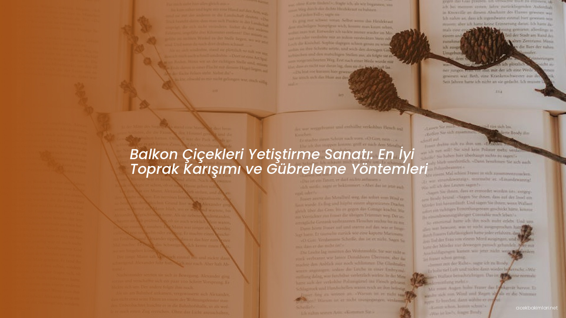 Balkon Çiçekleri Yetiştirme Sanatı: En İyi Toprak Karışımı ve Gübreleme Yöntemleri