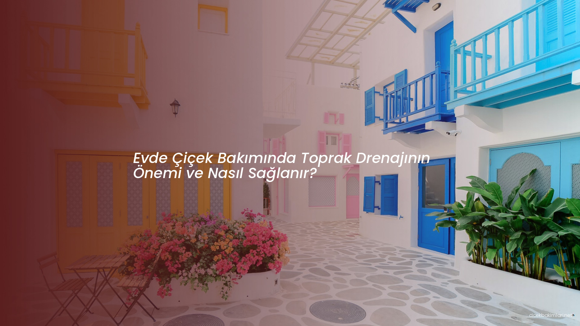 Evde Çiçek Bakımında Toprak Drenajının Önemi ve Nasıl Sağlanır?