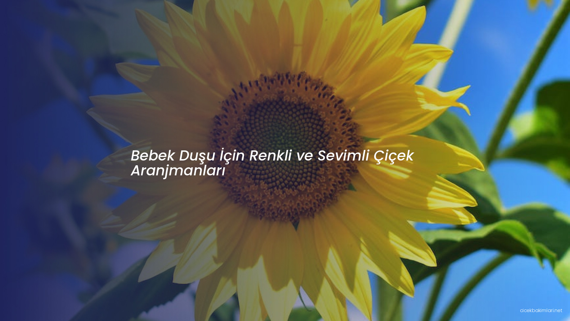 Bebek Duşu İçin Renkli ve Sevimli Çiçek Aranjmanları