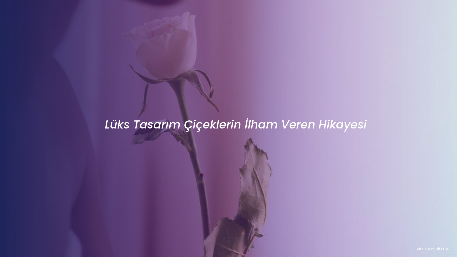 Lüks Tasarım Çiçeklerin İlham Veren Hikayesi