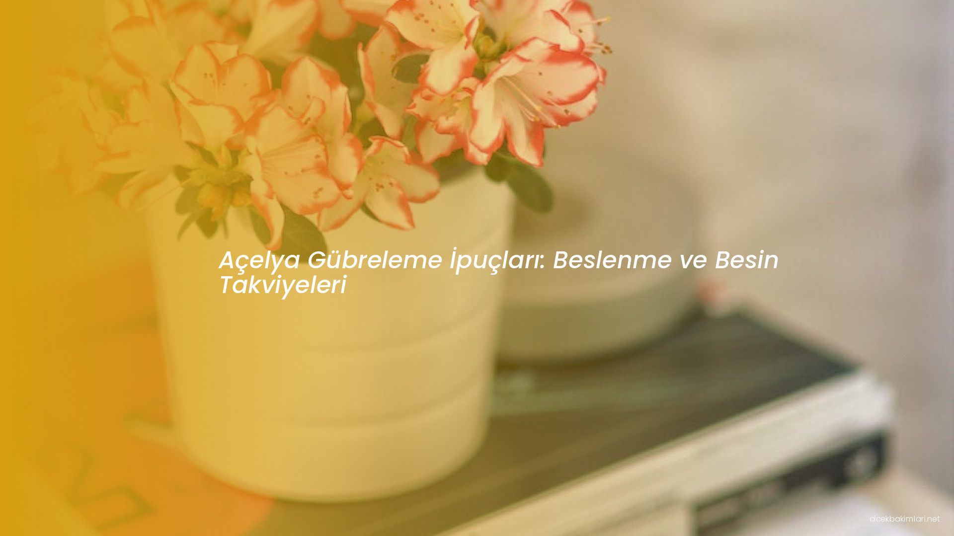 Açelya Gübreleme İpuçları: Beslenme ve Besin Takviyeleri