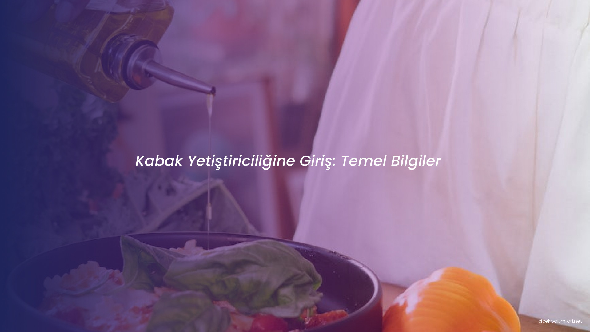 Kabak Yetiştiriciliğine Giriş: Temel Bilgiler