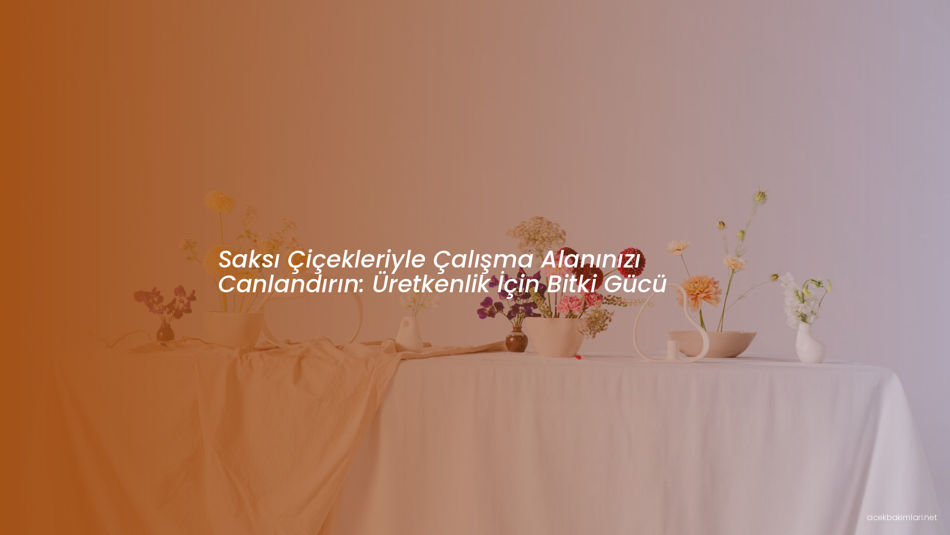 Saksı Çiçekleriyle Çalışma Alanınızı Canlandırın: Üretkenlik İçin Bitki Gücü