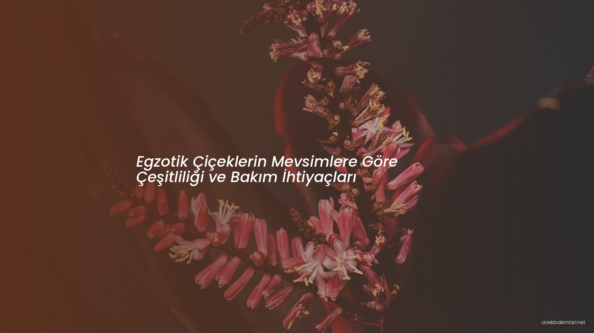 Egzotik Çiçeklerin Mevsimlere Göre Çeşitliliği ve Bakım İhtiyaçları