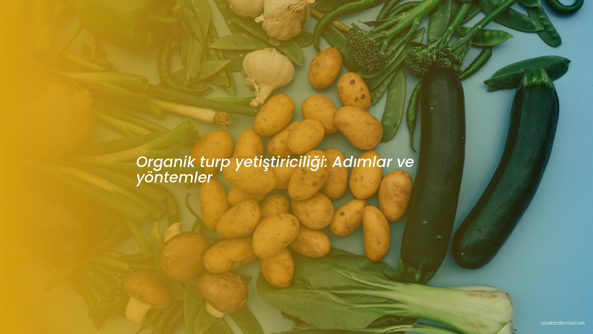 Organik turp yetiştiriciliği: Adımlar ve yöntemler