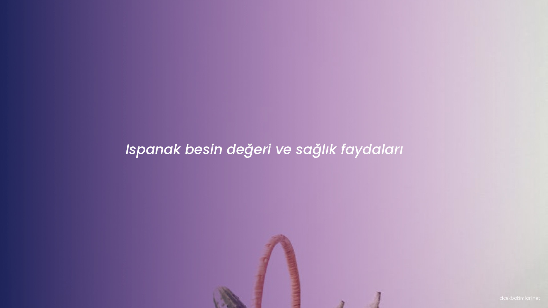 Ispanak besin değeri ve sağlık faydaları