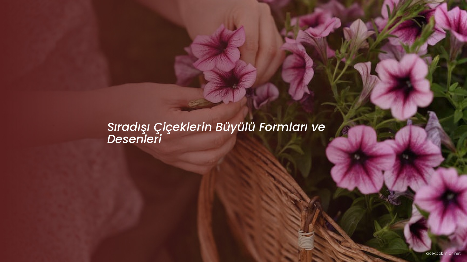 Sıradışı Çiçeklerin Büyülü Formları ve Desenleri