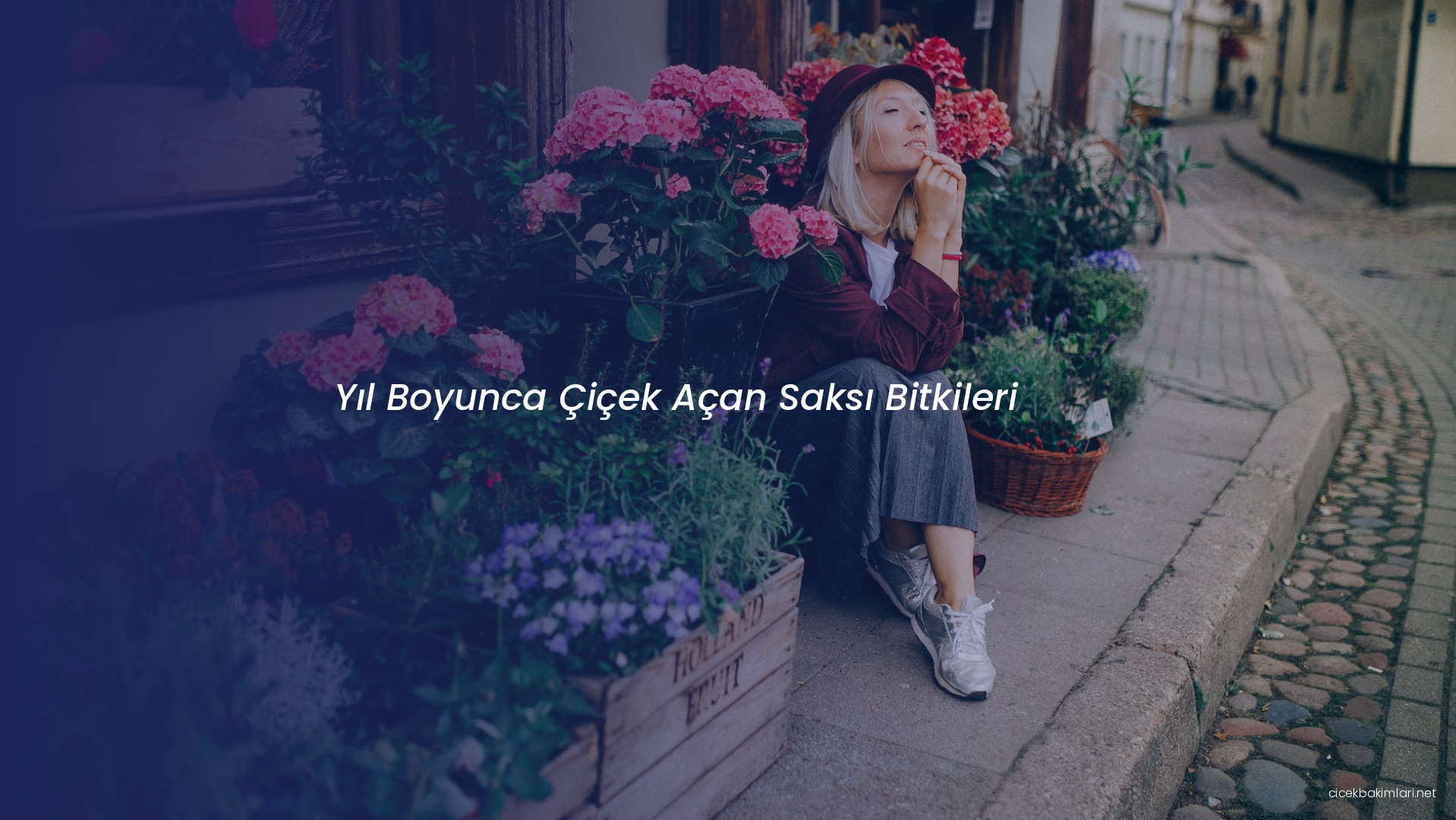 Yıl Boyunca Çiçek Açan Saksı Bitkileri
