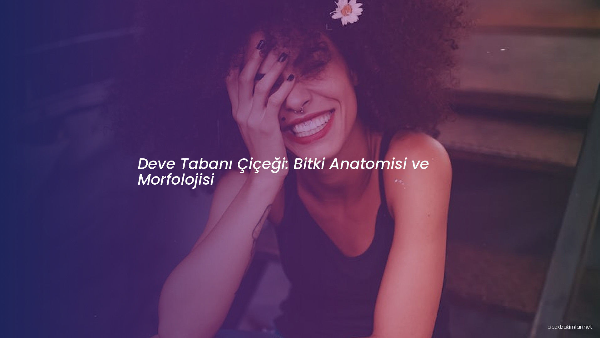 Deve Tabanı Çiçeği: Bitki Anatomisi ve Morfolojisi