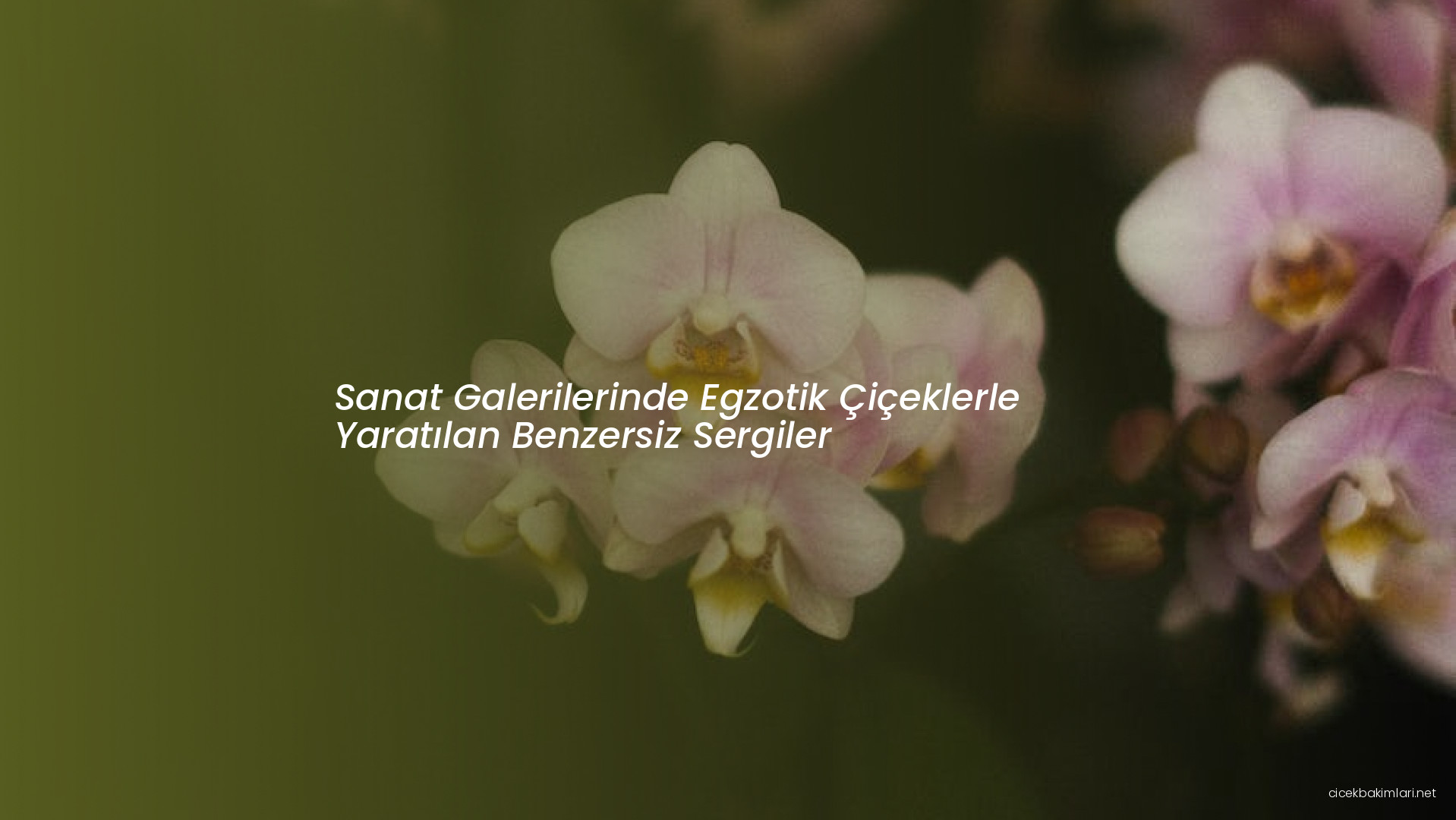 Sanat Galerilerinde Egzotik Çiçeklerle Yaratılan Benzersiz Sergiler