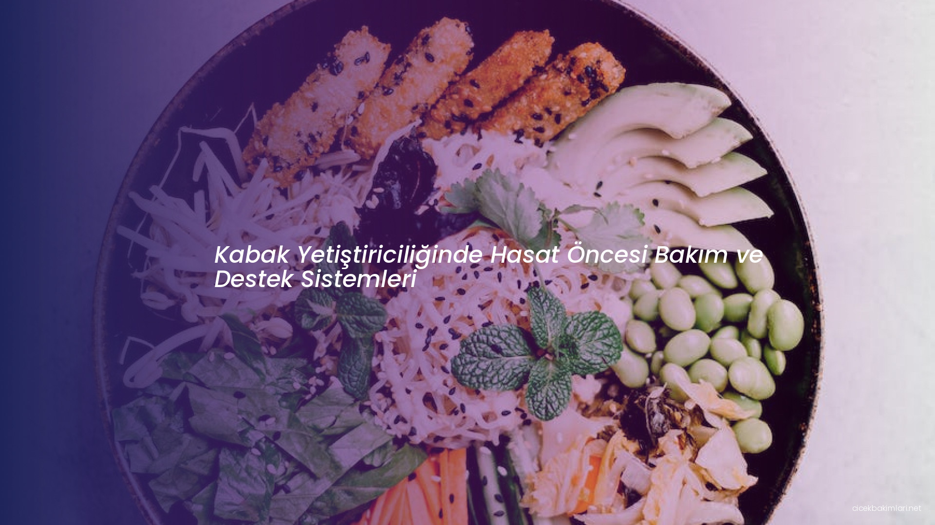 Kabak Yetiştiriciliğinde Hasat Öncesi Bakım ve Destek Sistemleri