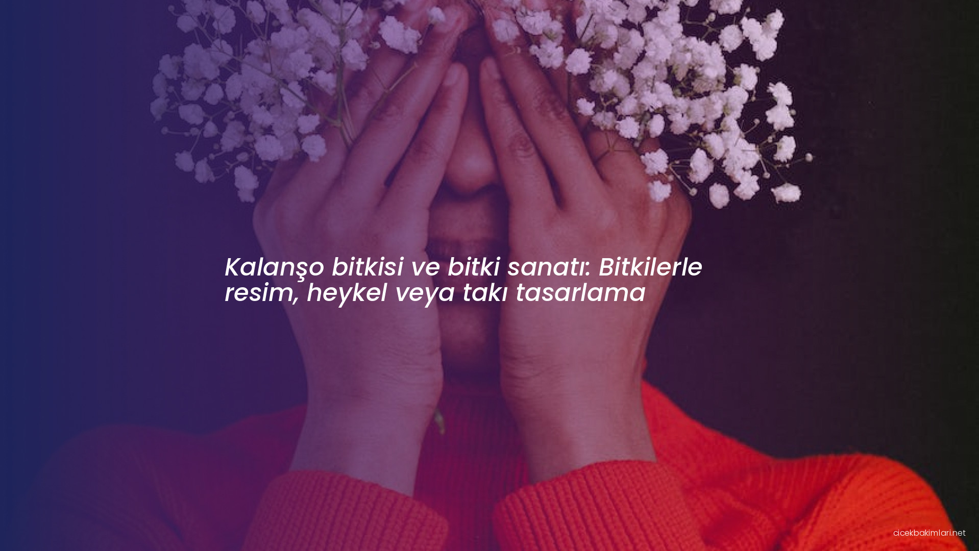 Kalanşo bitkisi ve bitki sanatı: Bitkilerle resim, heykel veya takı tasarlama