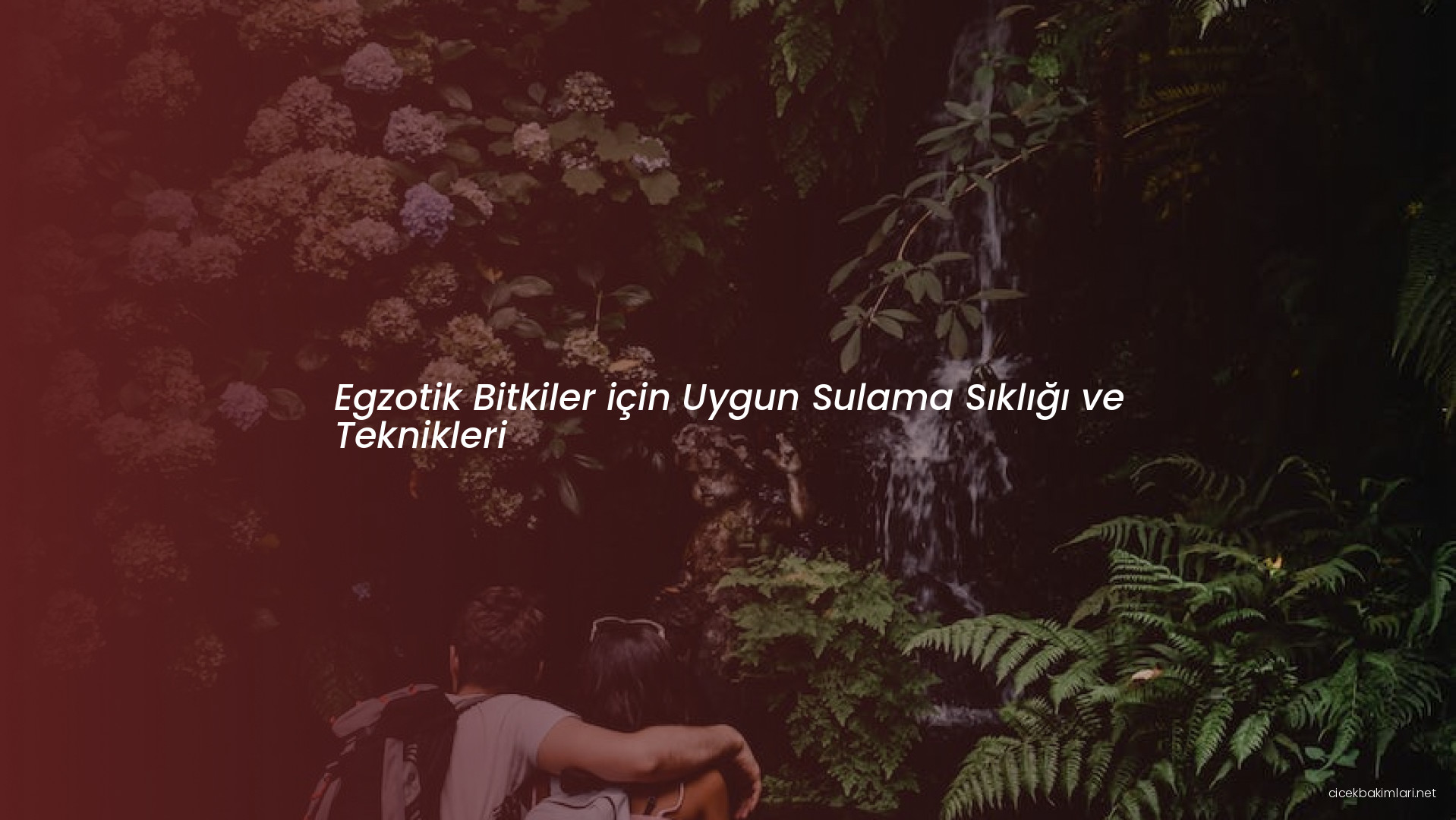 Egzotik Bitkiler için Uygun Sulama Sıklığı ve Teknikleri