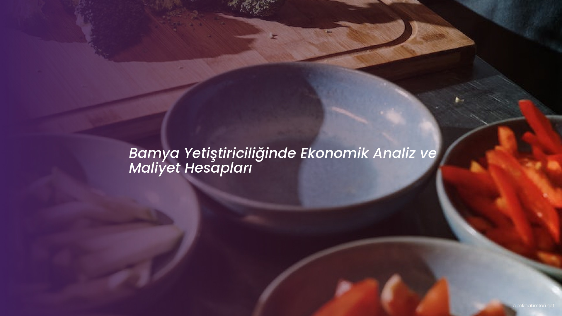 Bamya Yetiştiriciliğinde Ekonomik Analiz ve Maliyet Hesapları