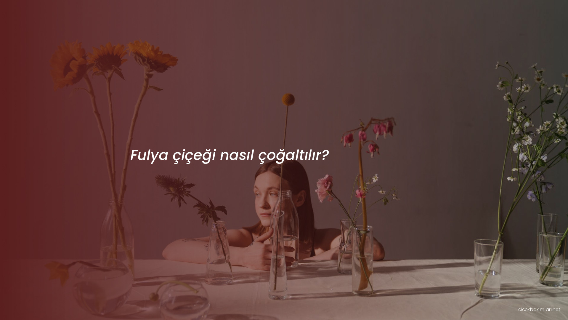 Fulya çiçeği nasıl çoğaltılır?