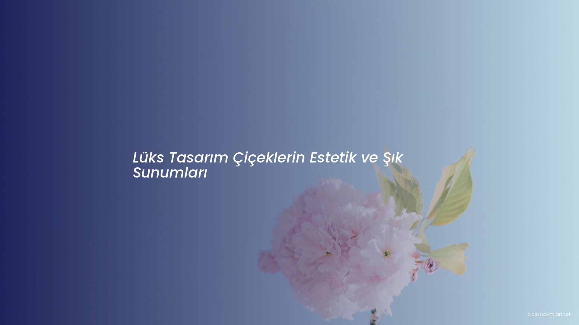 Lüks Tasarım Çiçeklerin Estetik ve Şık Sunumları