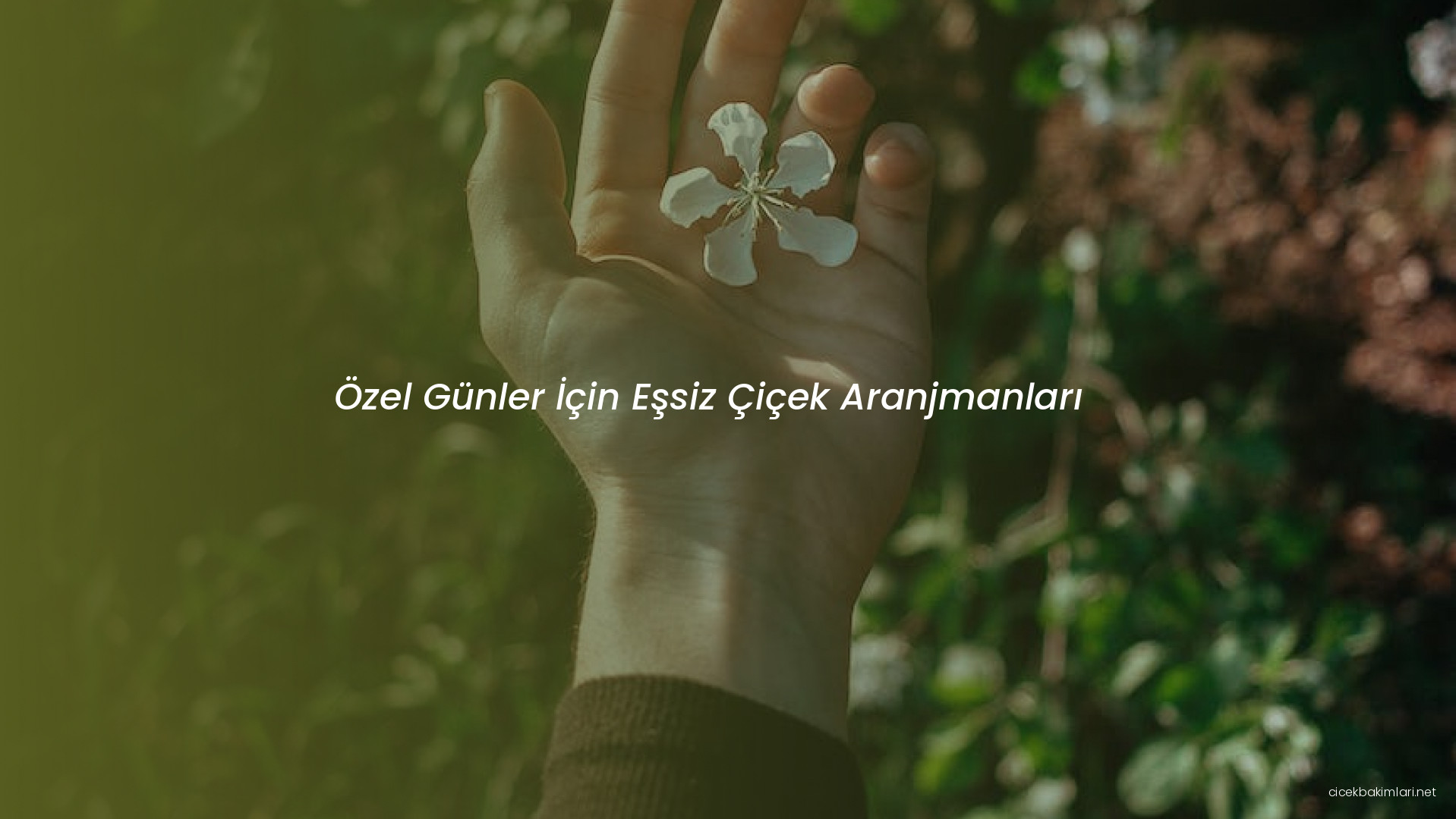 Özel Günler İçin Eşsiz Çiçek Aranjmanları