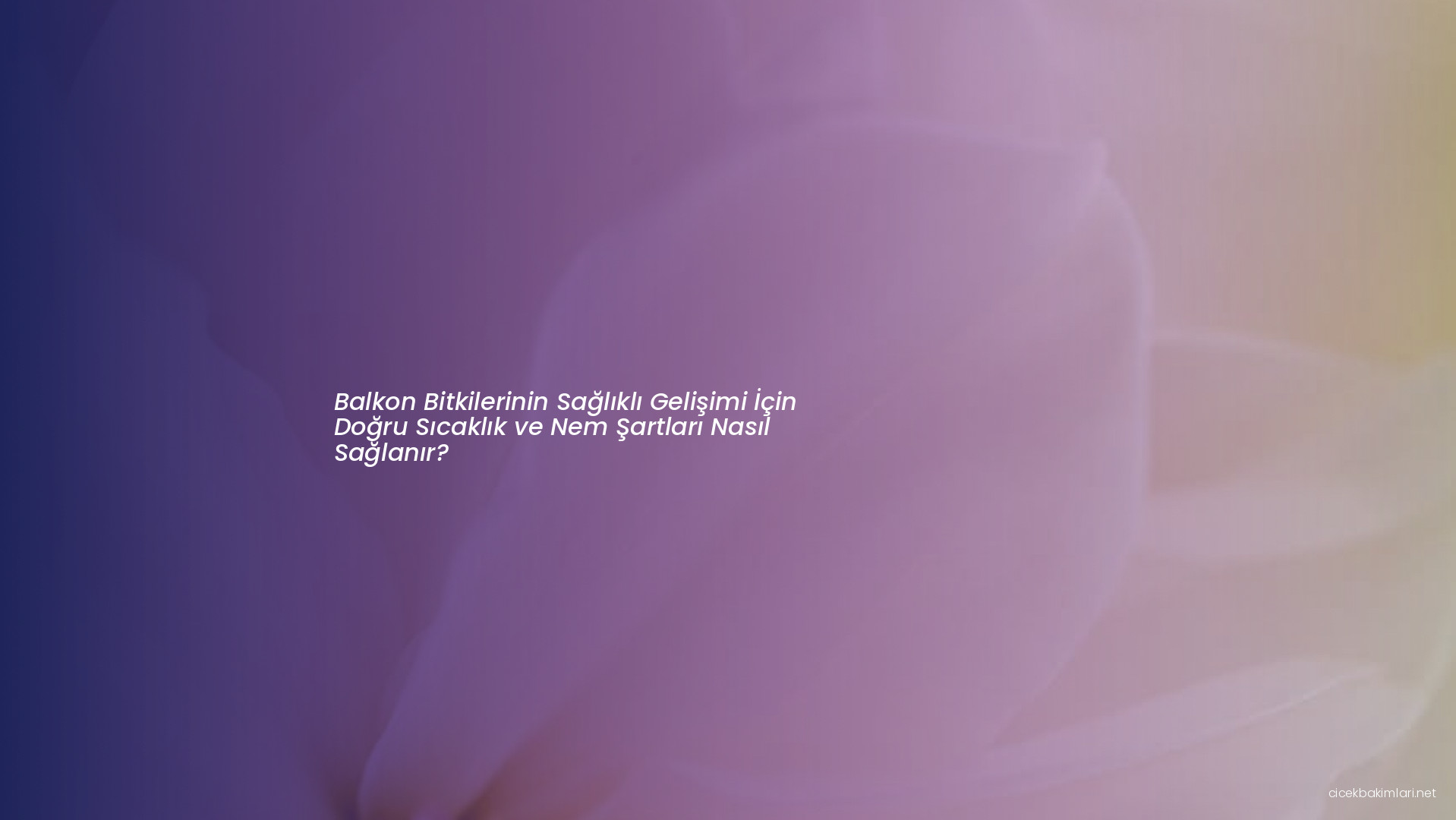 Balkon Bitkilerinin Sağlıklı Gelişimi İçin Doğru Sıcaklık ve Nem Şartları Nasıl Sağlanır?