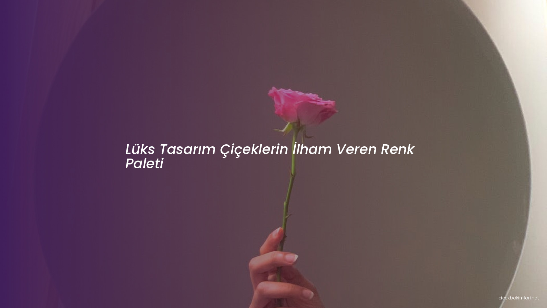 Lüks Tasarım Çiçeklerin İlham Veren Renk Paleti