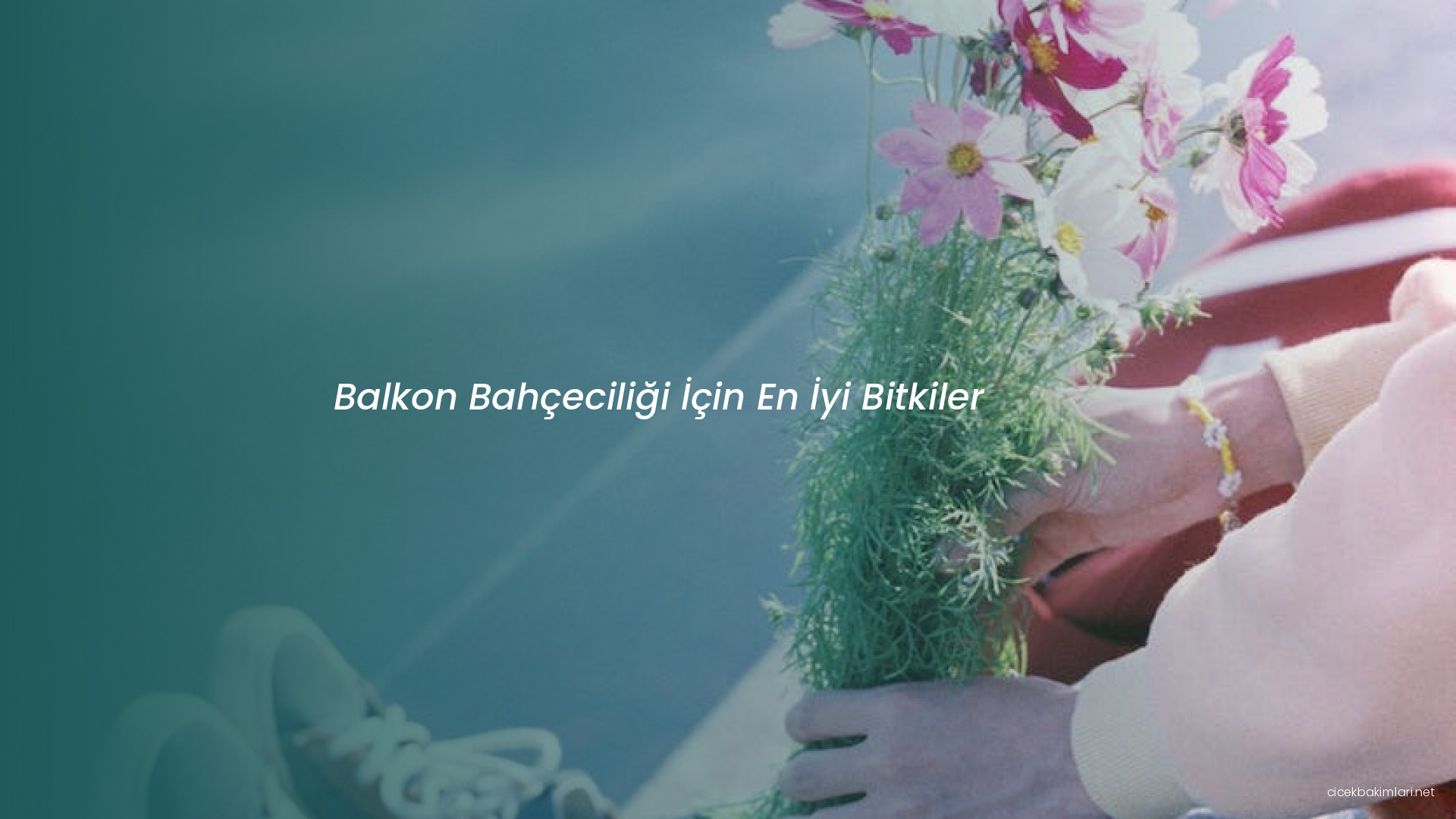 Balkon Bahçeciliği İçin En İyi Bitkiler