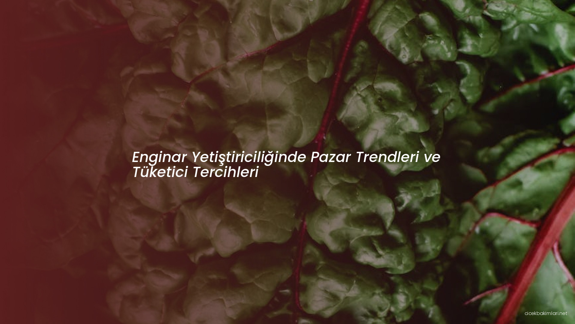 Enginar Yetiştiriciliğinde Pazar Trendleri ve Tüketici Tercihleri