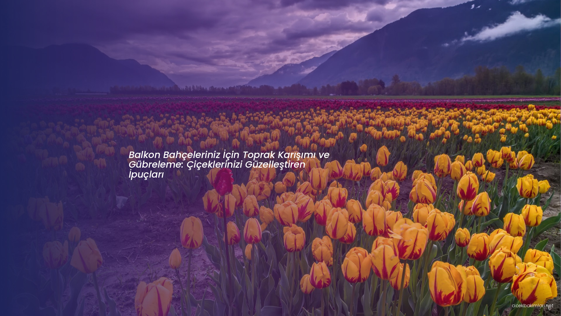 Balkon Bahçeleriniz İçin Toprak Karışımı ve Gübreleme: Çiçeklerinizi Güzelleştiren İpuçları