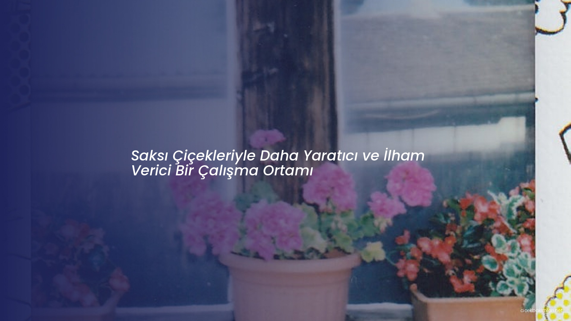 Saksı Çiçekleriyle Daha Yaratıcı ve İlham Verici Bir Çalışma Ortamı
