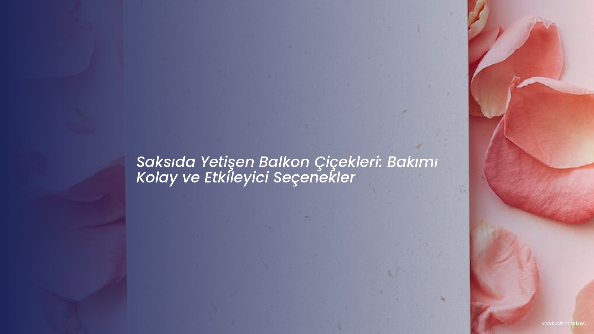 Saksıda Yetişen Balkon Çiçekleri: Bakımı Kolay ve Etkileyici Seçenekler