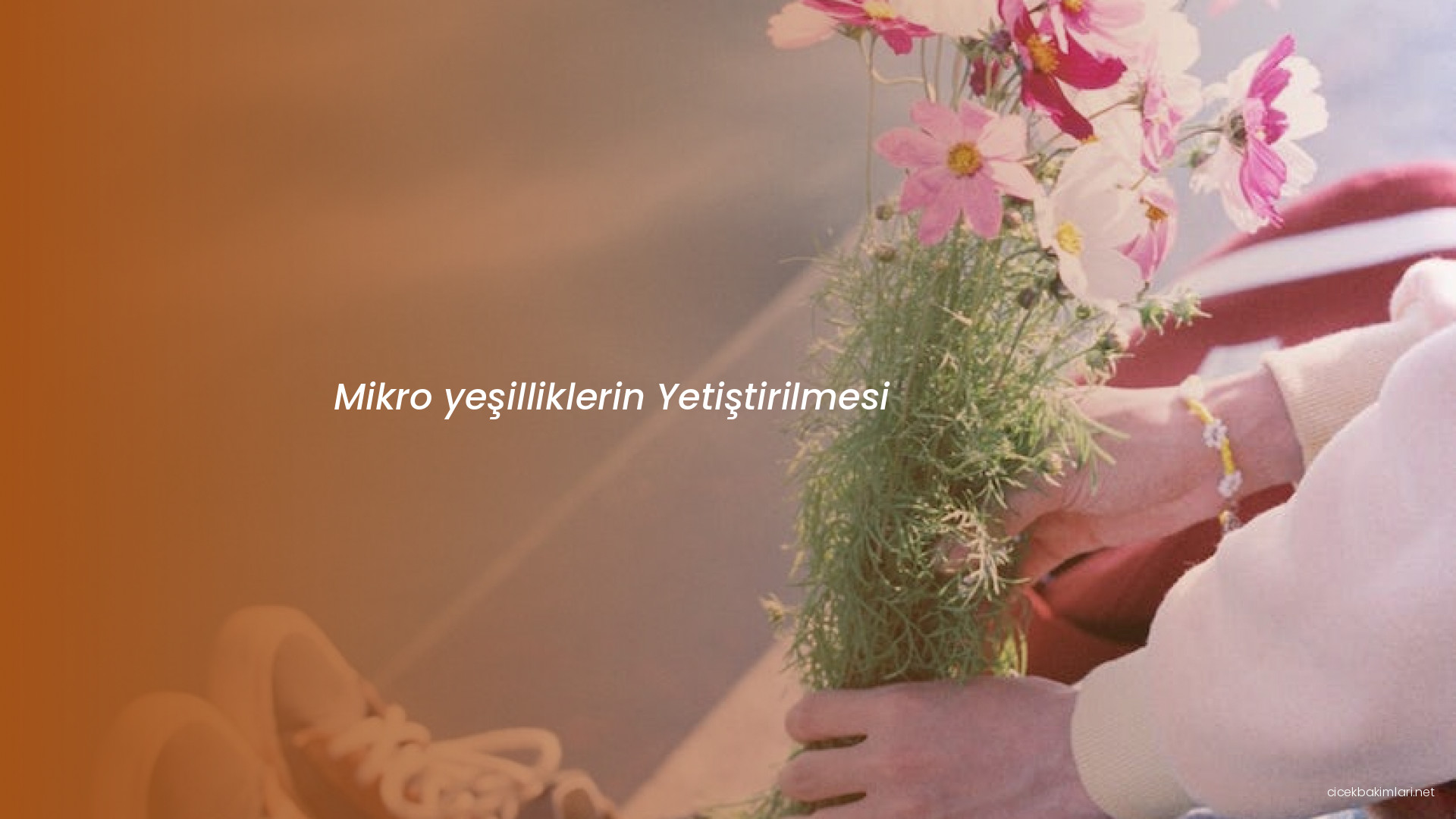 Mikro yeşilliklerin Yetiştirilmesi