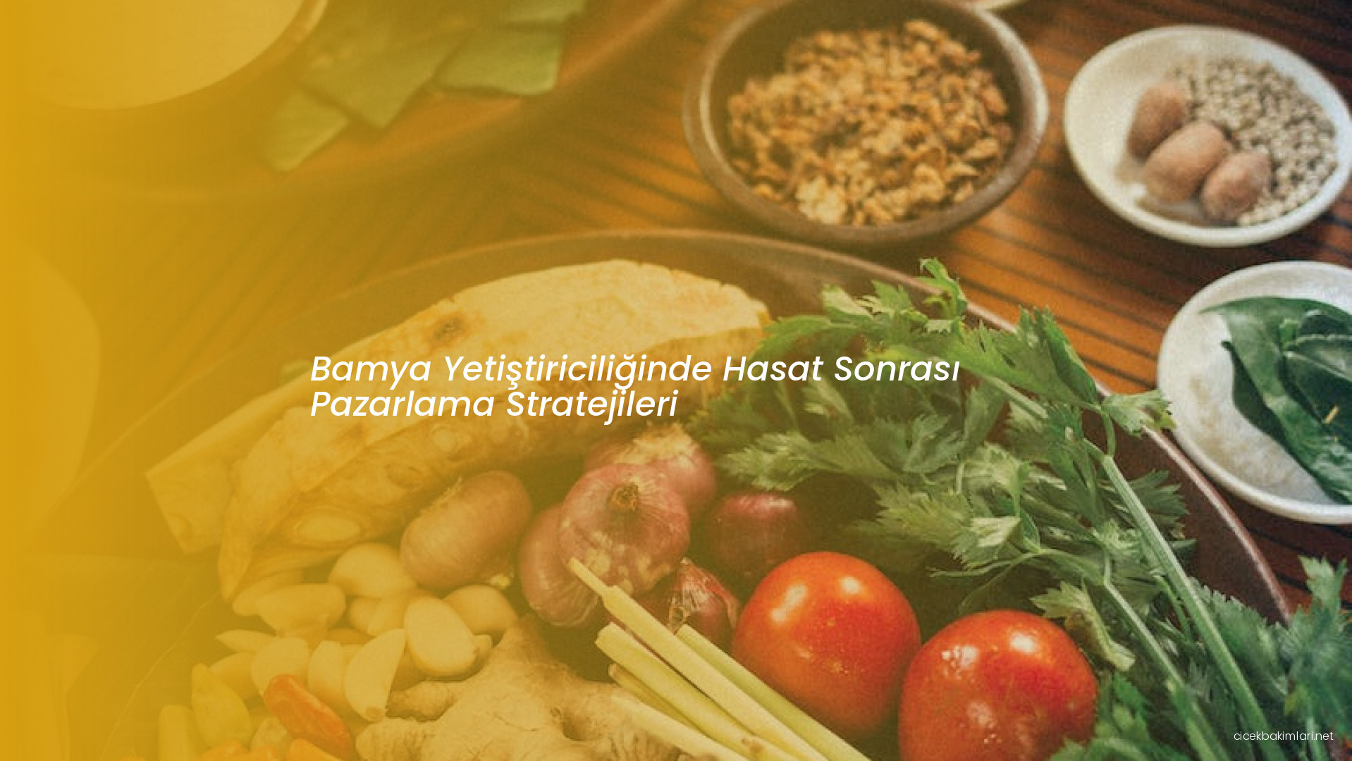 Bamya Yetiştiriciliğinde Hasat Sonrası Pazarlama Stratejileri