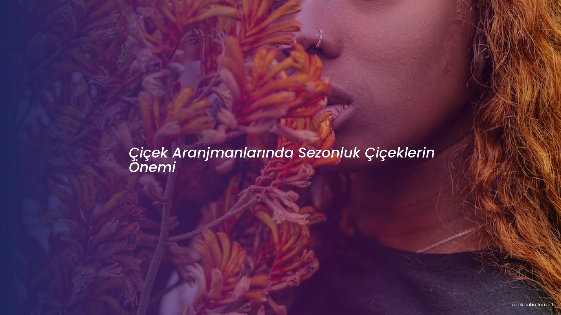 Çiçek Aranjmanlarında Sezonluk Çiçeklerin Önemi