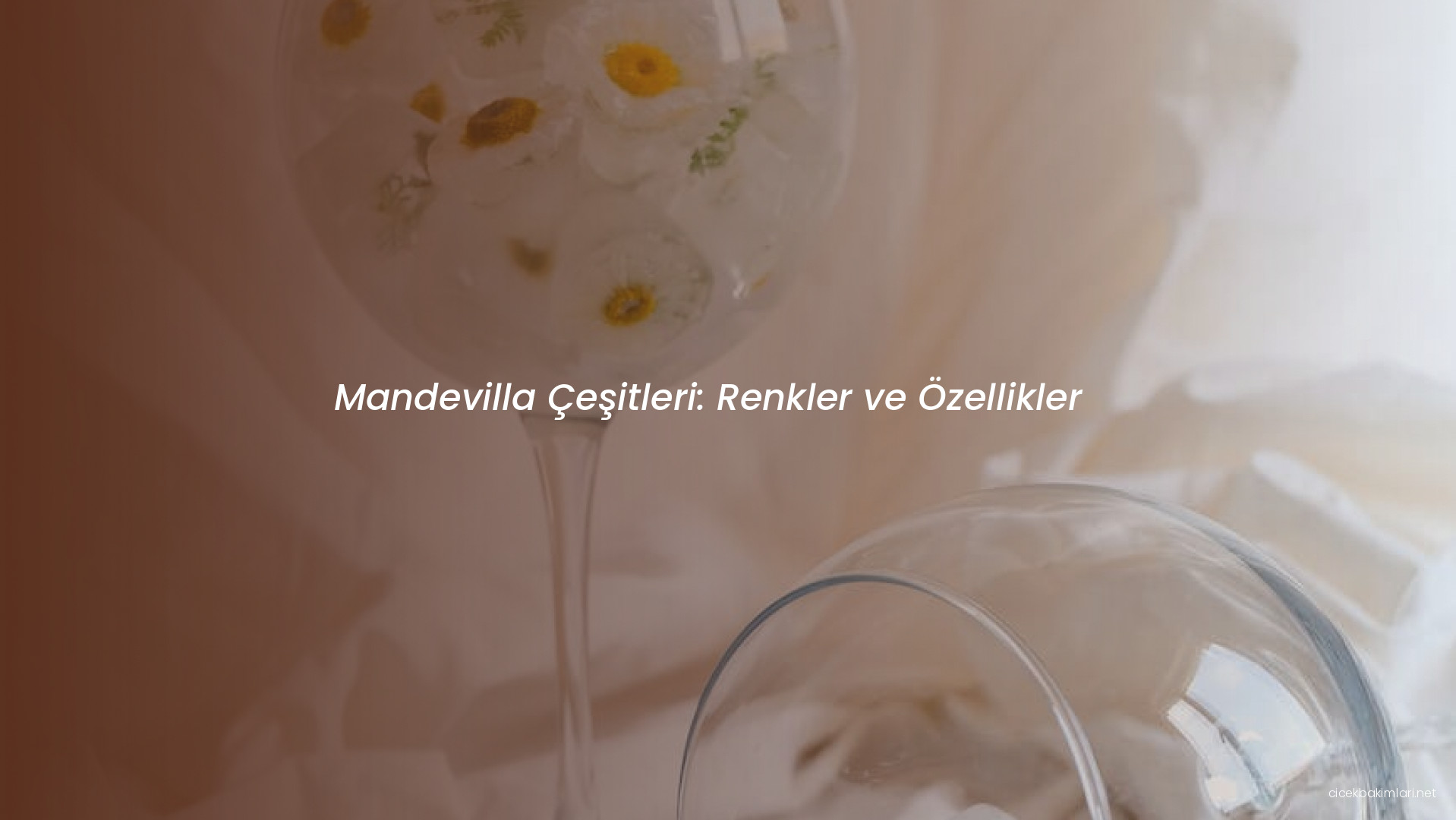 Mandevilla Çeşitleri: Renkler ve Özellikler