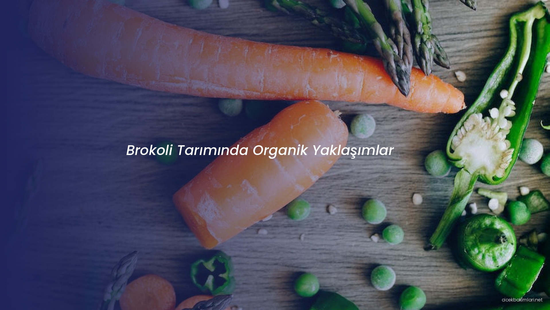 Brokoli Tarımında Organik Yaklaşımlar