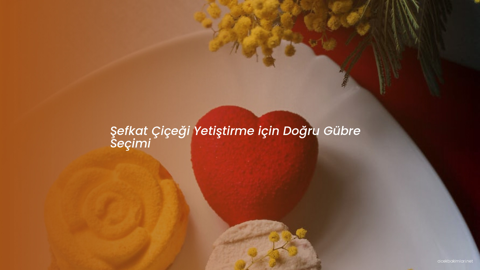 Şefkat Çiçeği Yetiştirme için Doğru Gübre Seçimi