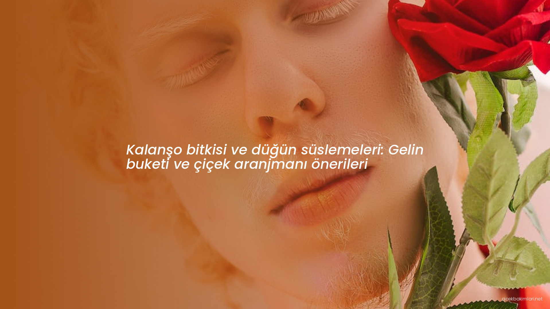 Kalanşo bitkisi ve düğün süslemeleri: Gelin buketi ve çiçek aranjmanı önerileri