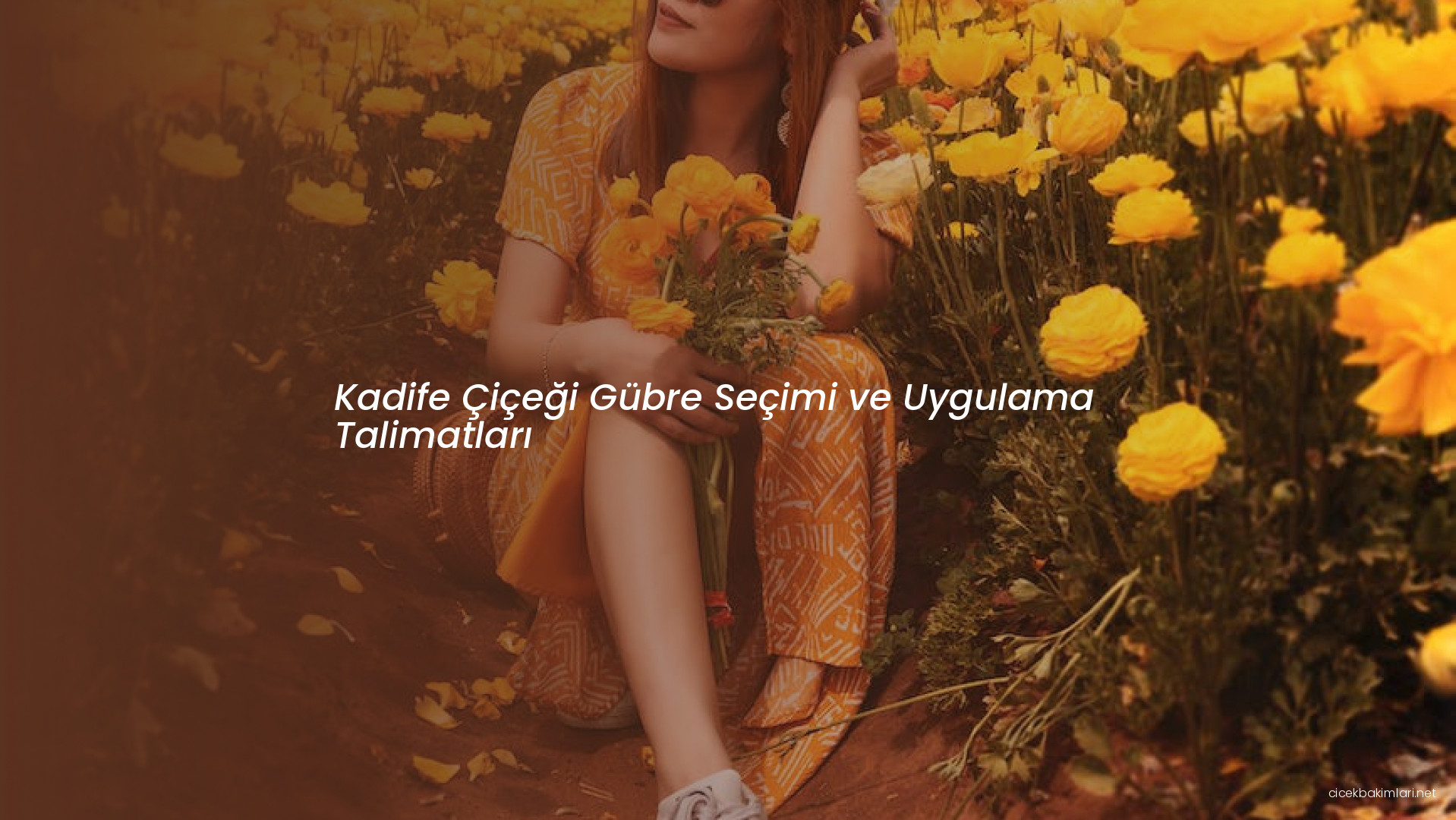 Kadife Çiçeği Gübre Seçimi ve Uygulama Talimatları