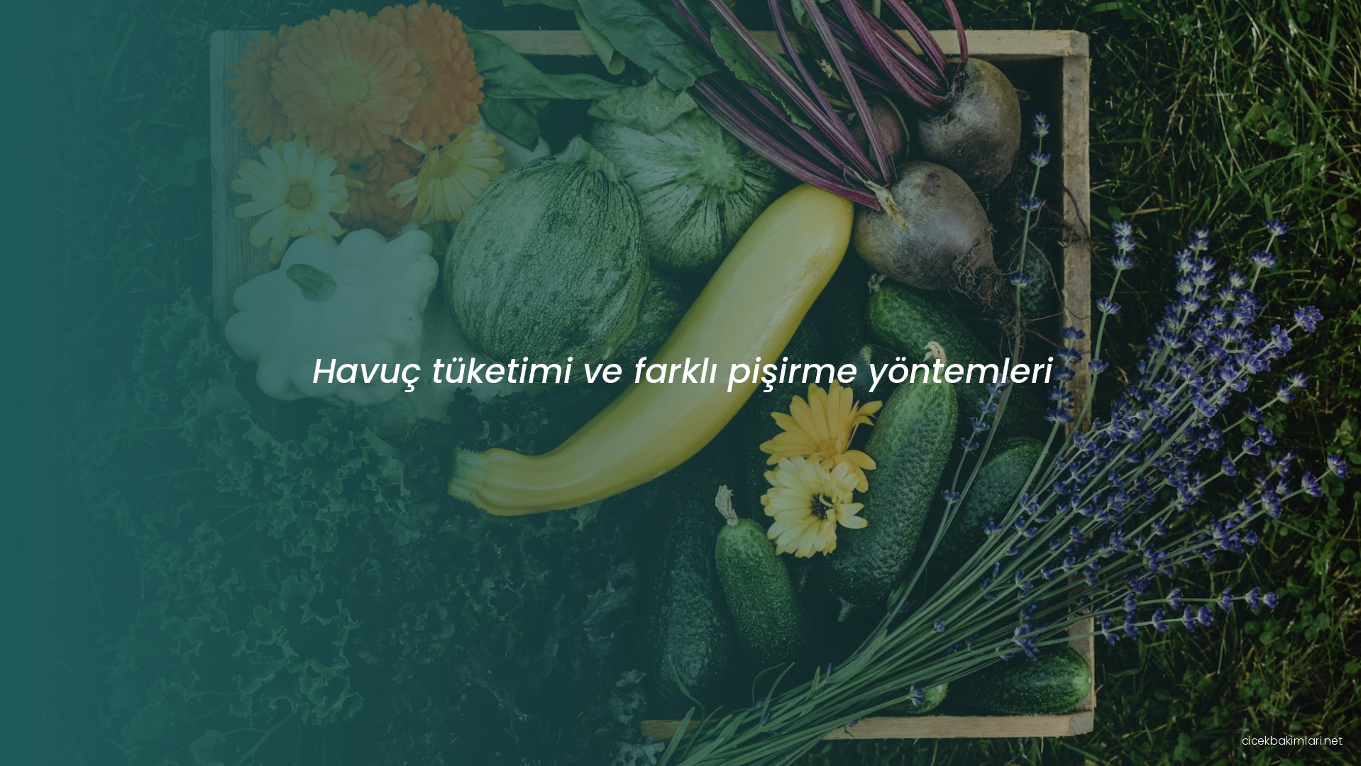 Havuç tüketimi ve farklı pişirme yöntemleri