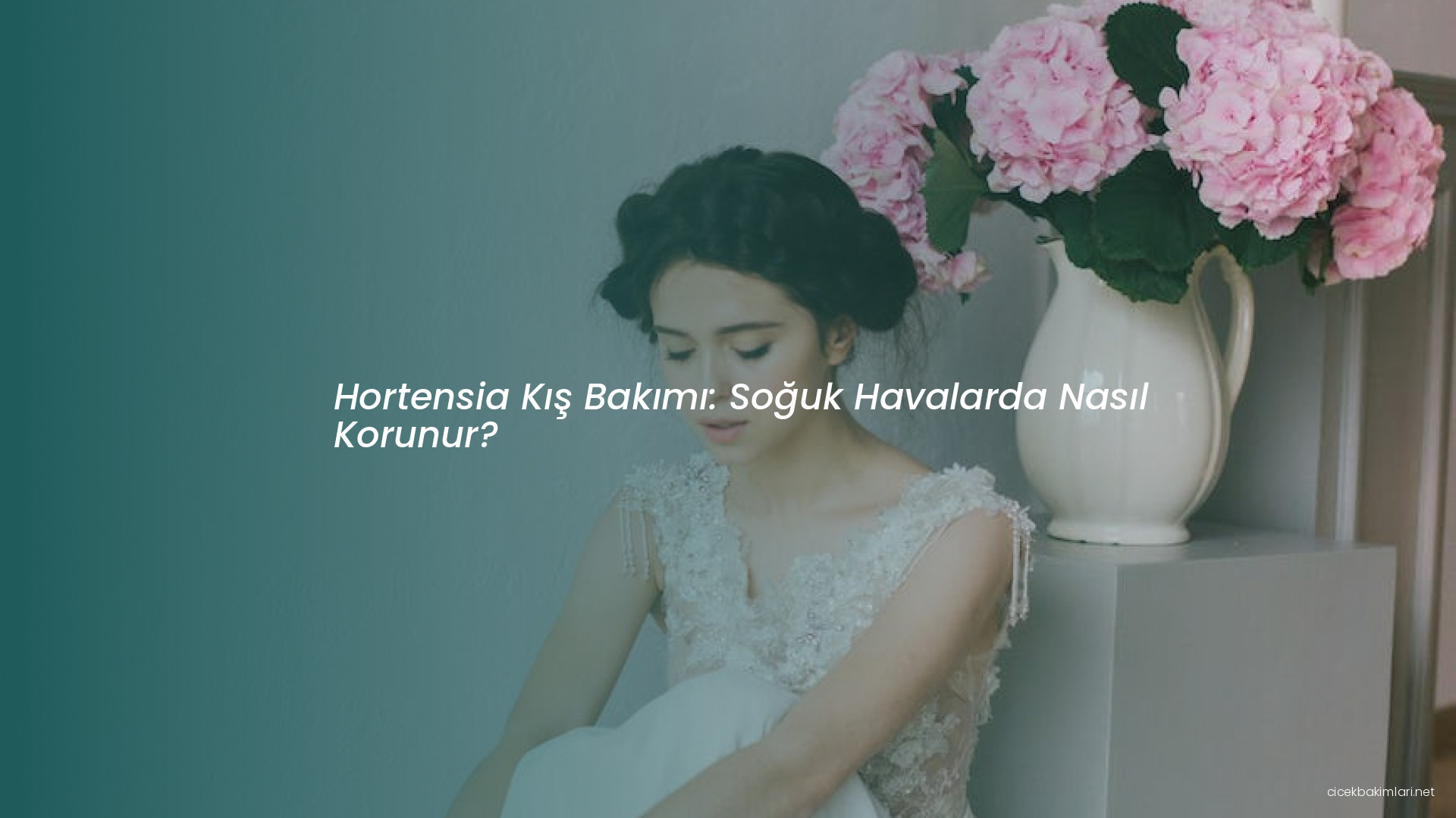 Hortensia Kış Bakımı: Soğuk Havalarda Nasıl Korunur?