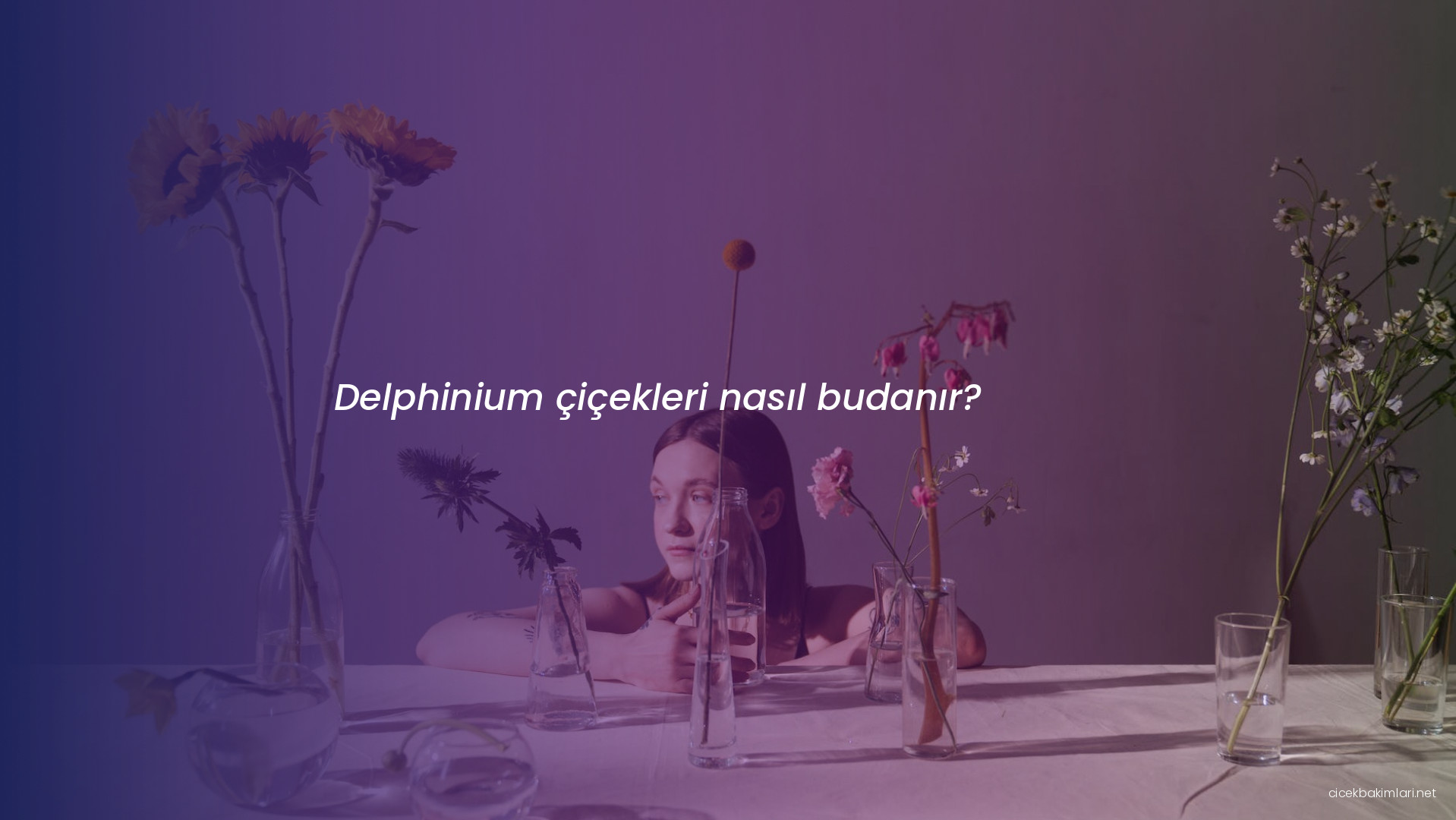 Delphinium çiçekleri nasıl budanır?
