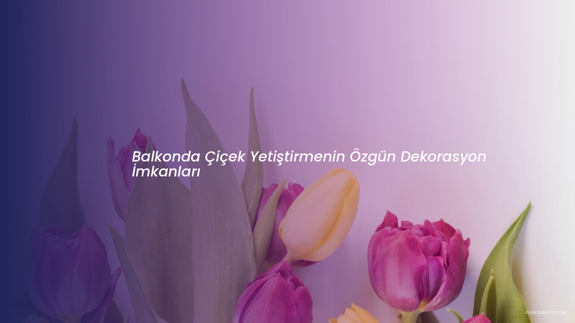 Balkonda Çiçek Yetiştirmenin Özgün Dekorasyon İmkanları