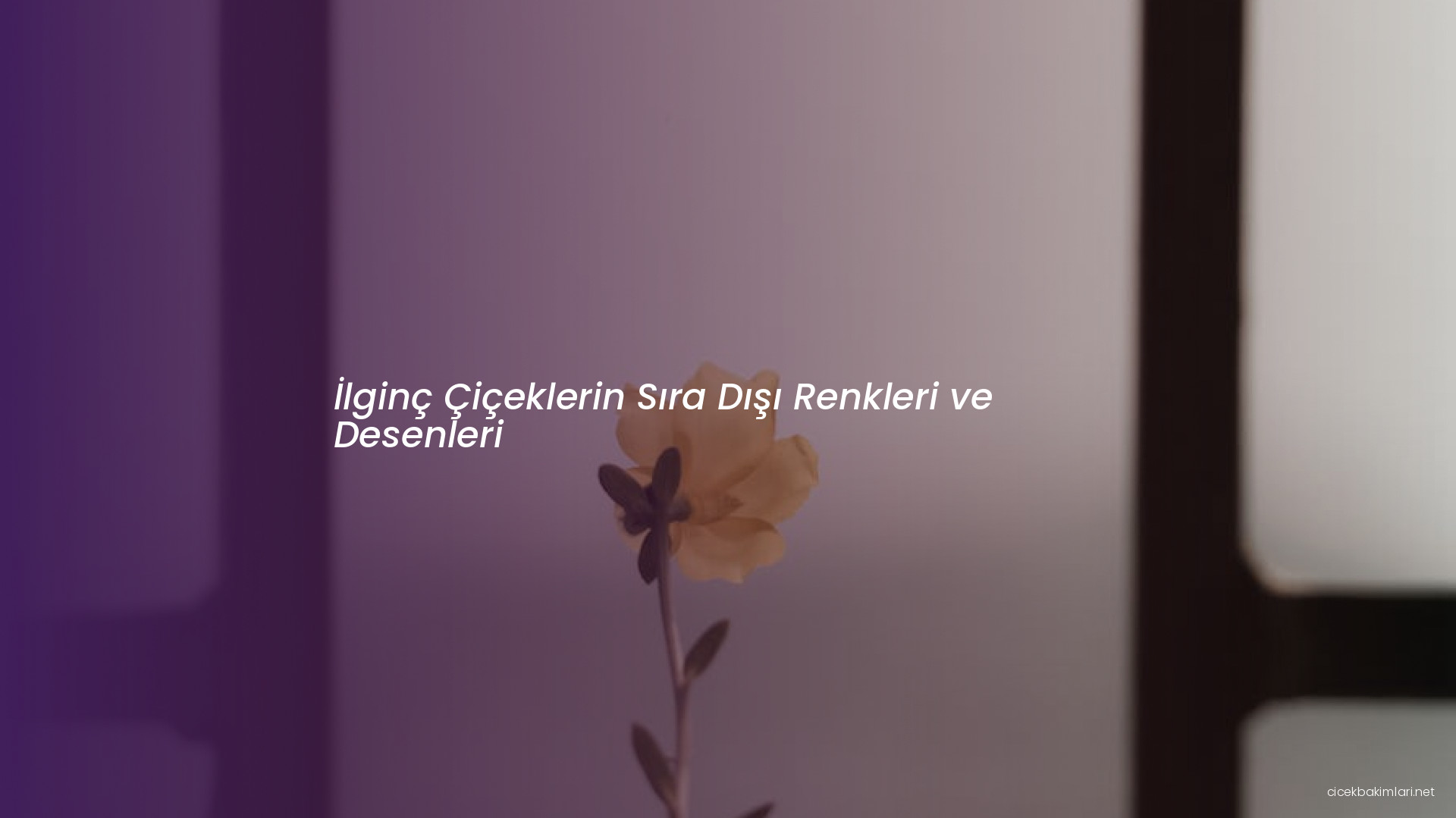 İlginç Çiçeklerin Sıra Dışı Renkleri ve Desenleri