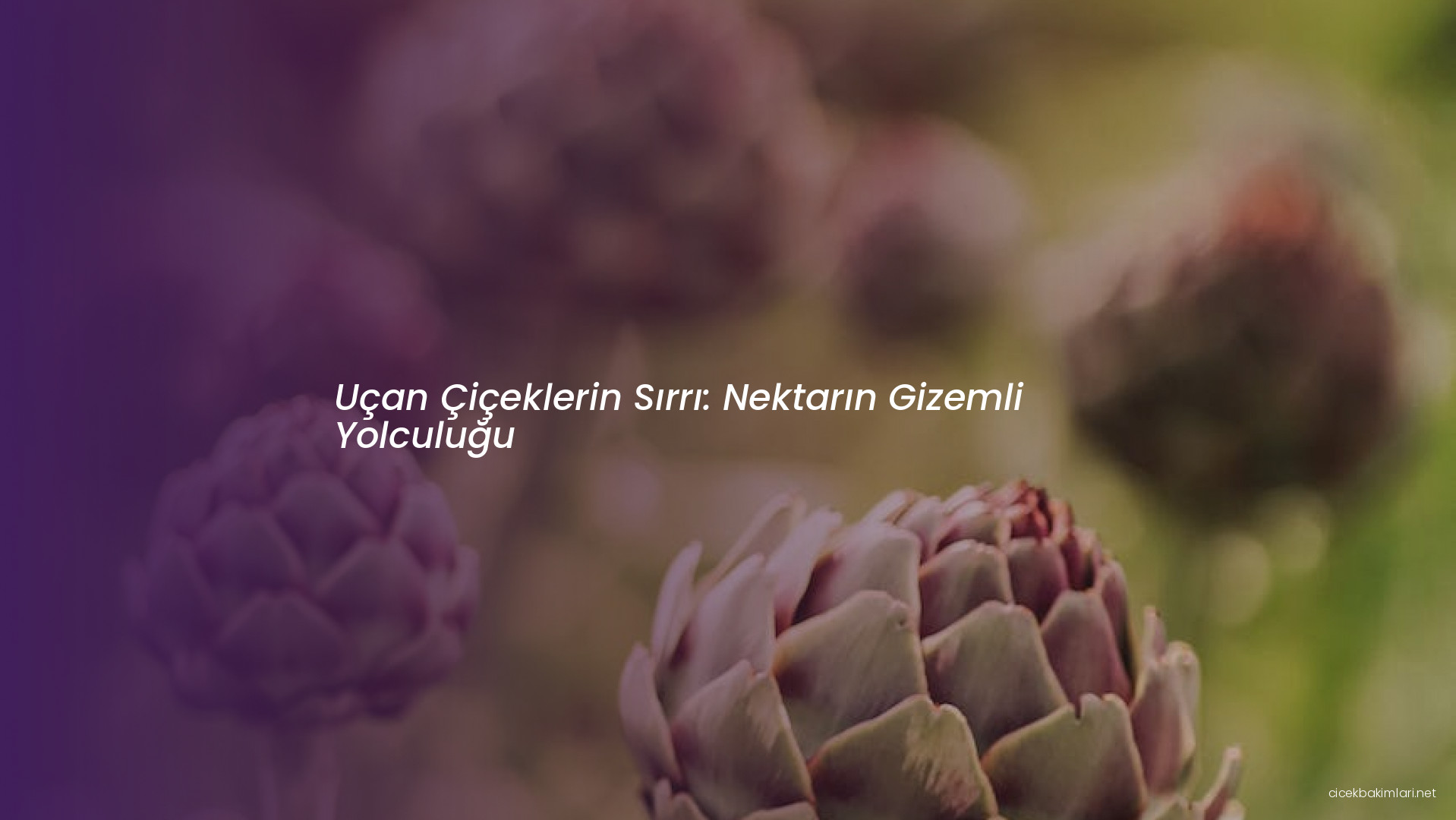 Uçan Çiçeklerin Sırrı: Nektarın Gizemli Yolculuğu