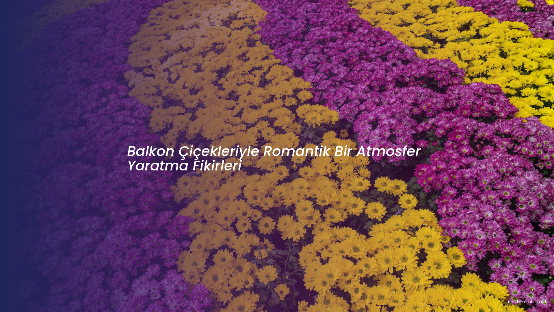 Balkon Çiçekleriyle Romantik Bir Atmosfer Yaratma Fikirleri