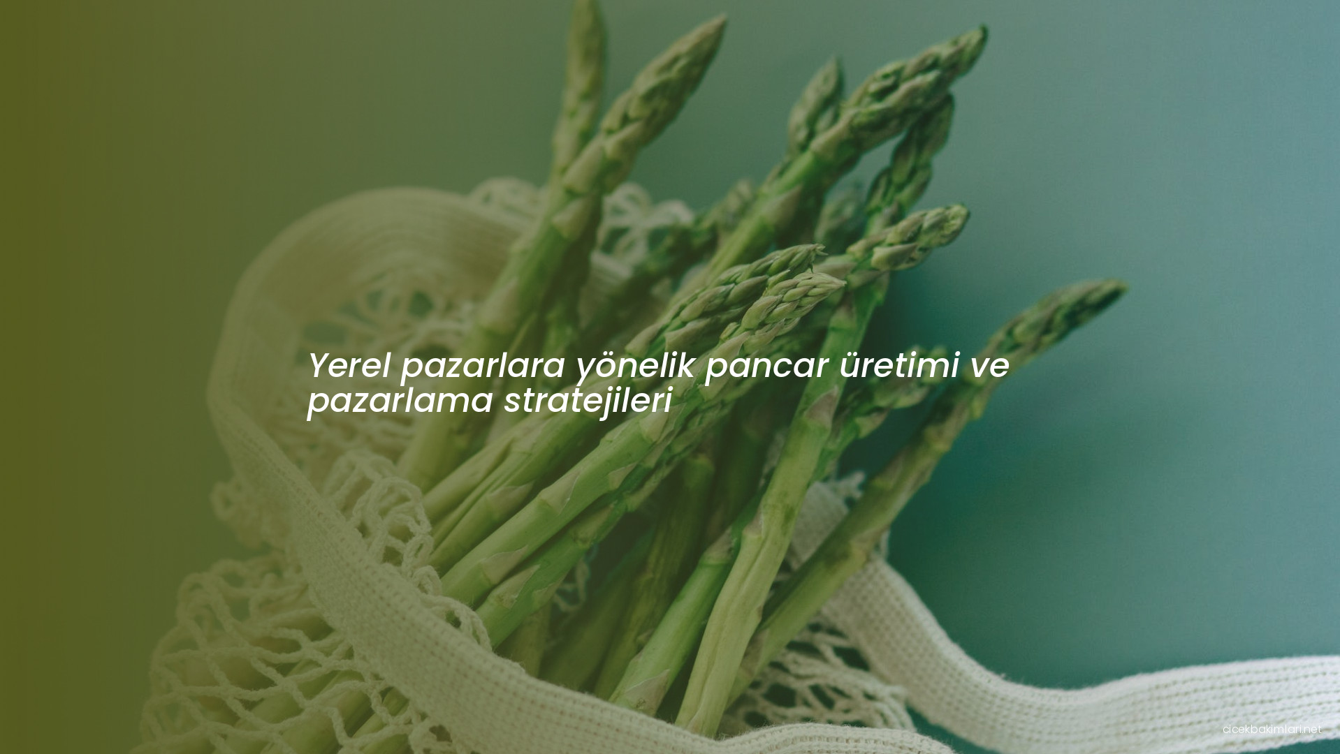 Yerel pazarlara yönelik pancar üretimi ve pazarlama stratejileri