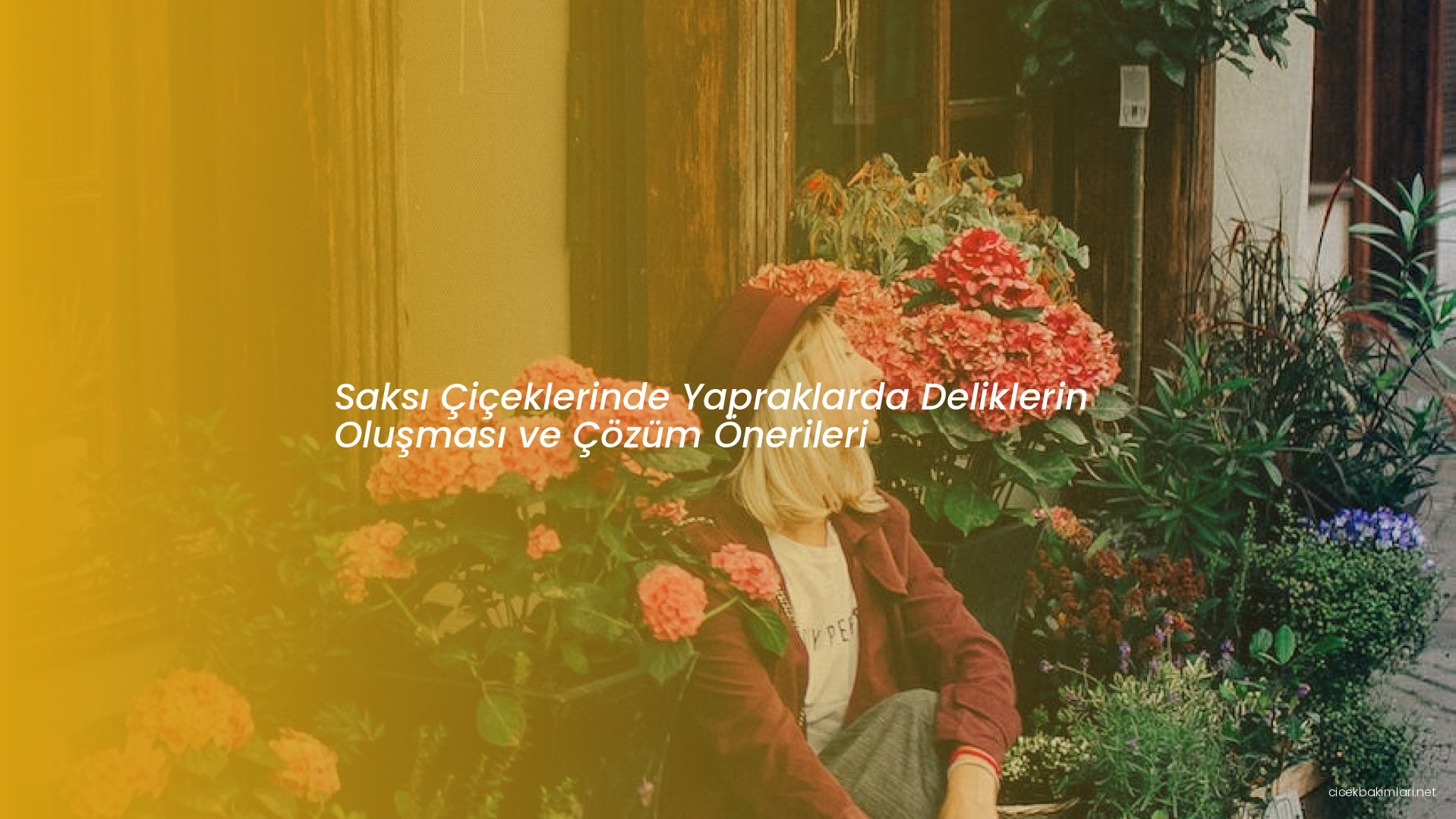 Saksı Çiçeklerinde Yapraklarda Deliklerin Oluşması ve Çözüm Önerileri