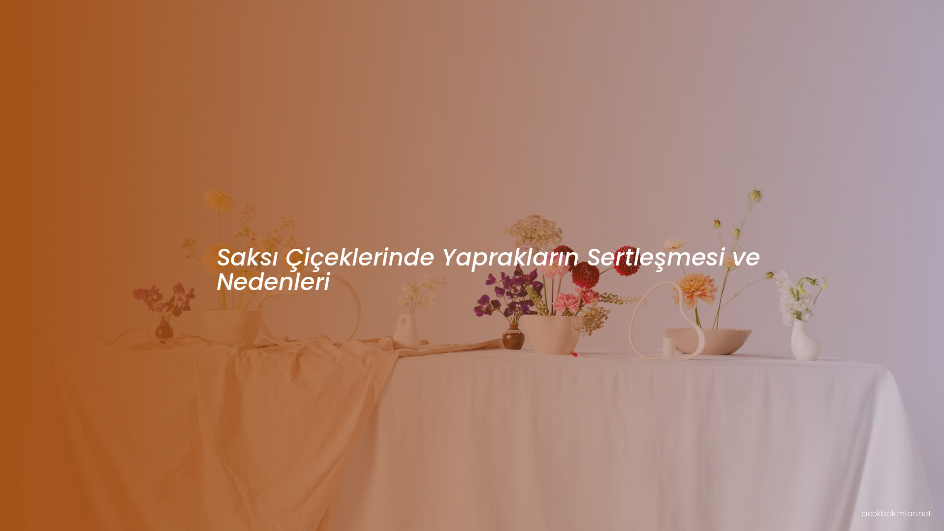 Saksı Çiçeklerinde Yaprakların Sertleşmesi ve Nedenleri