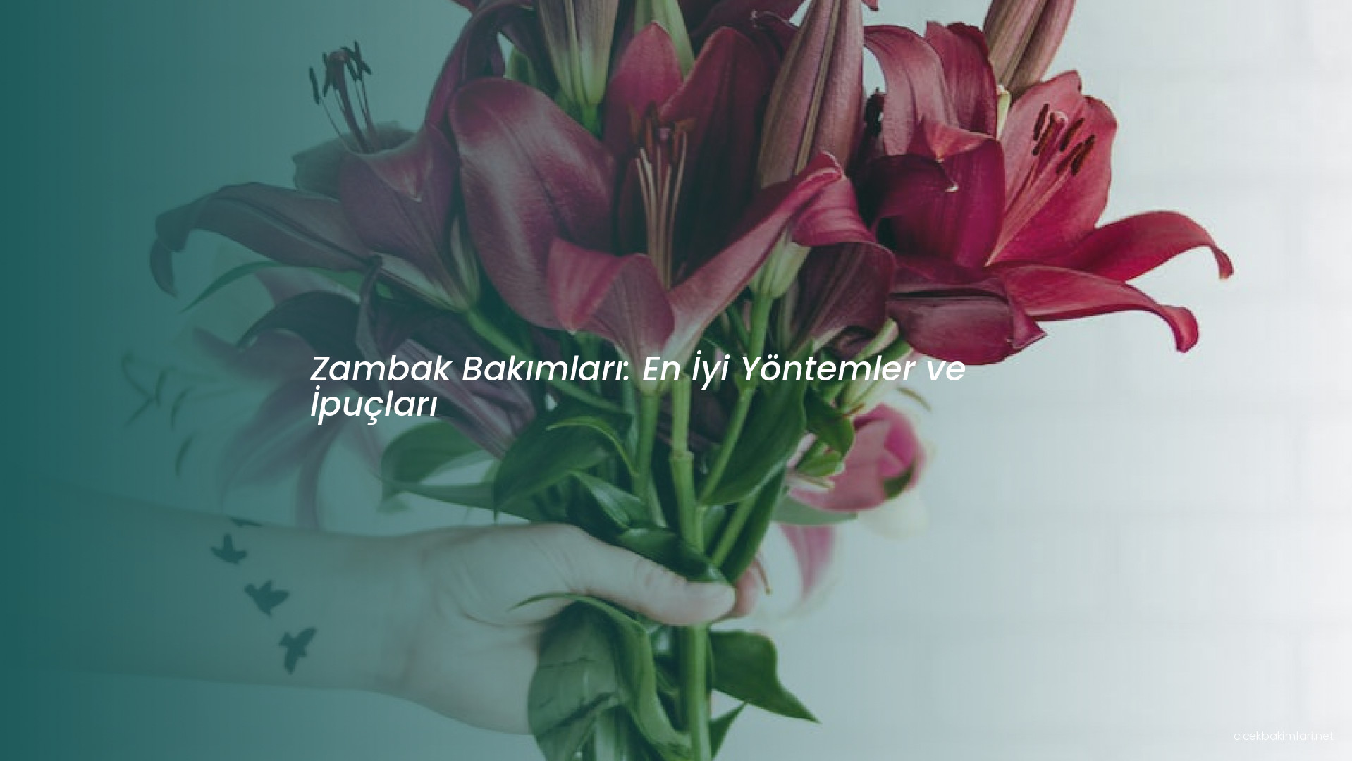 Zambak Bakımları: En İyi Yöntemler ve İpuçları