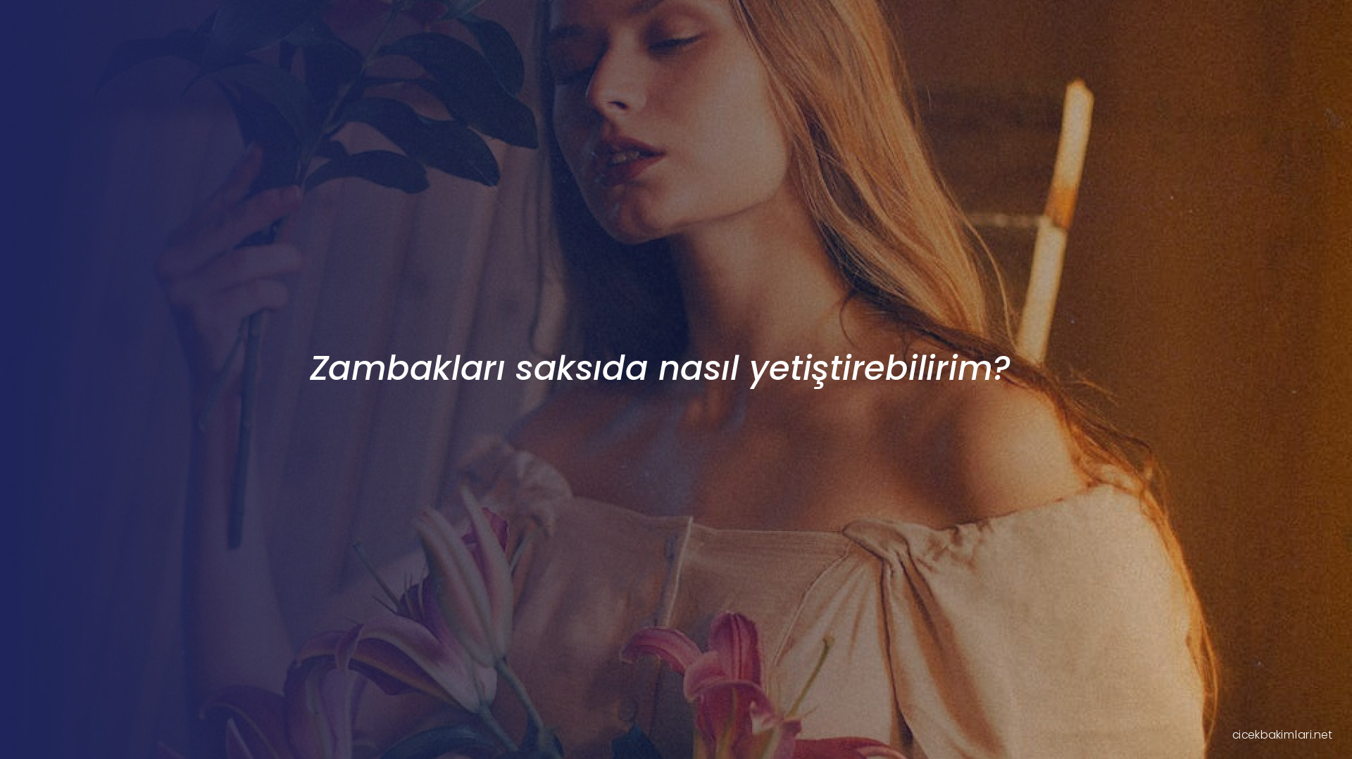 Zambakları saksıda nasıl yetiştirebilirim?