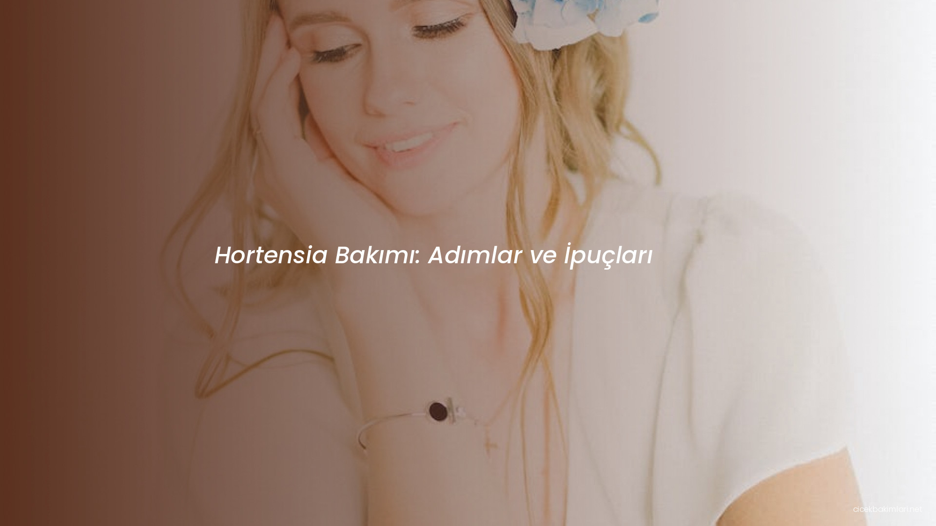 Hortensia Bakımı: Adımlar ve İpuçları