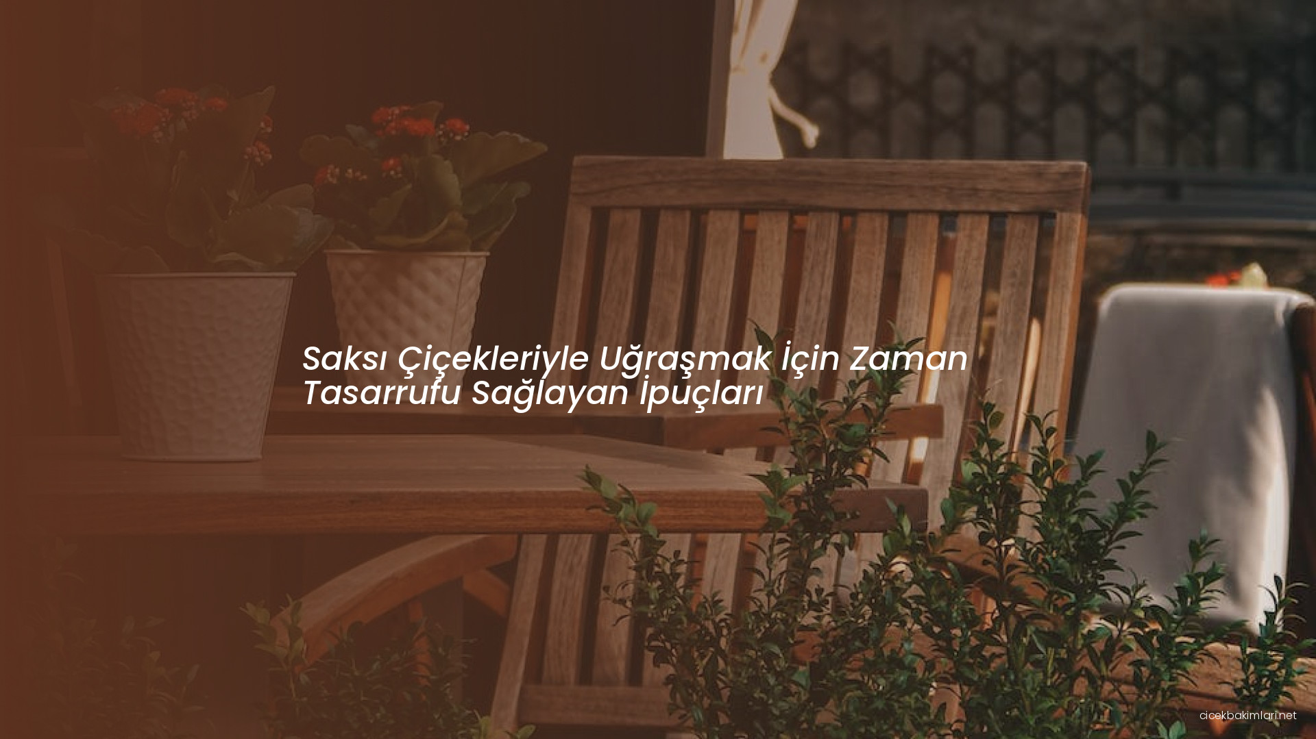 Saksı Çiçekleriyle Uğraşmak İçin Zaman Tasarrufu Sağlayan İpuçları